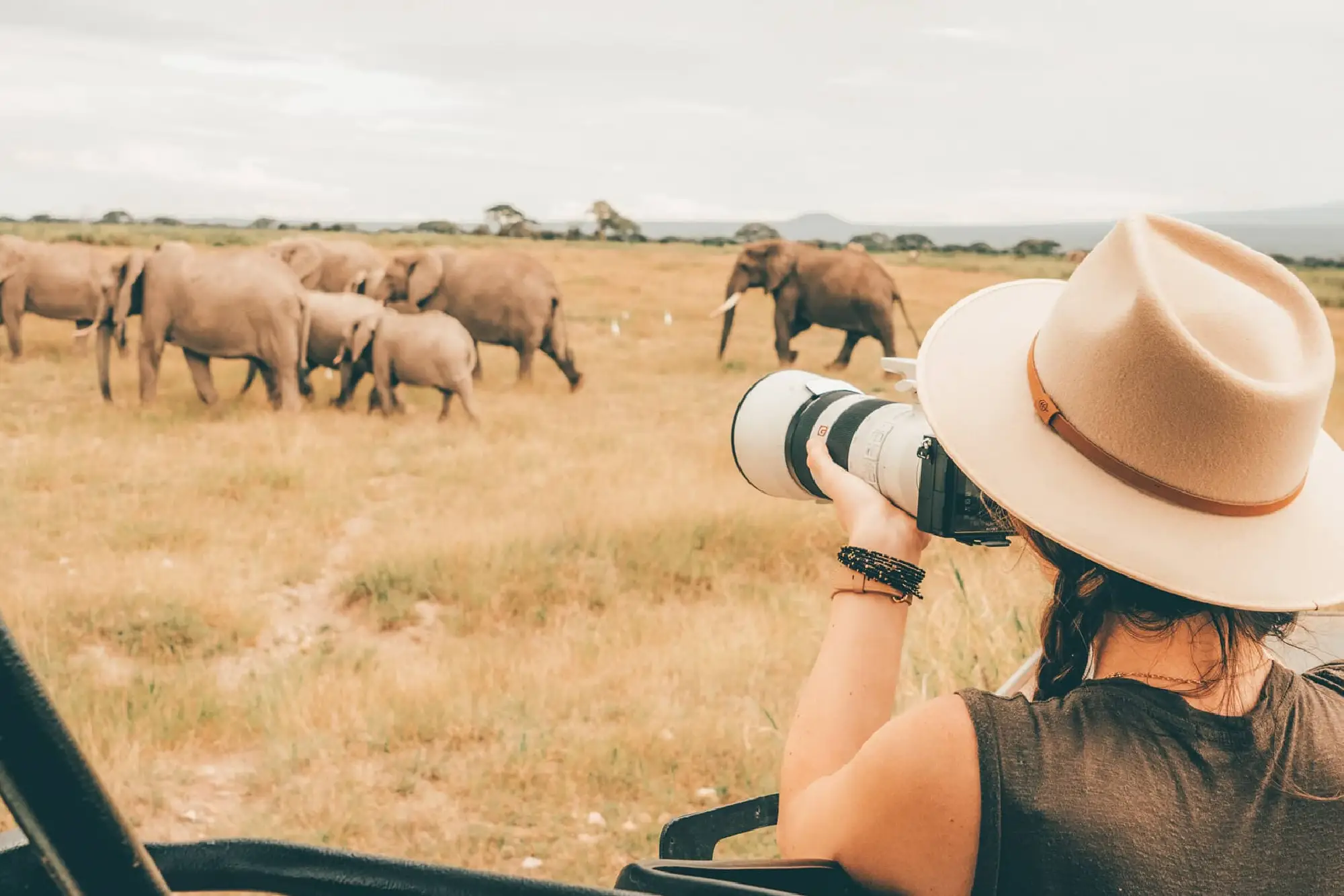 Wildlife Photography Attraction